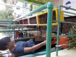 Thử nghiệm và quan sát